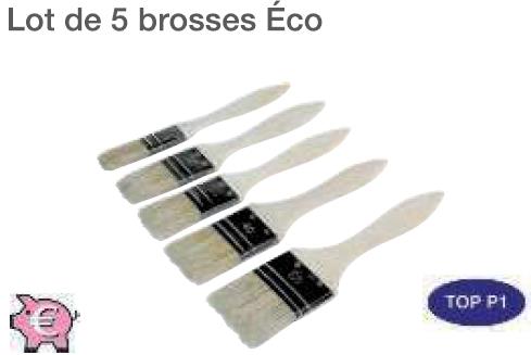Lot de 5 brosses Eco
5 brosses plates N°20/30/40/50